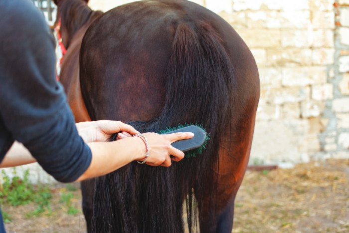Summer grooming tips and tricks you wish you knew sooner