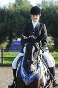 Dressage