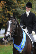 Dressage