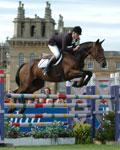 Horse jumping over fense at Blenheim Palace