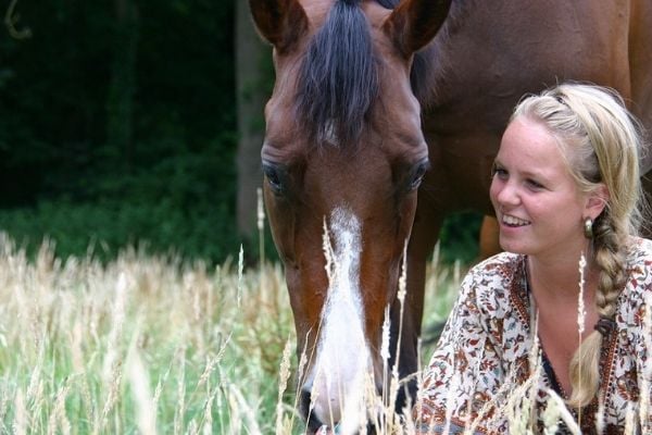 horses