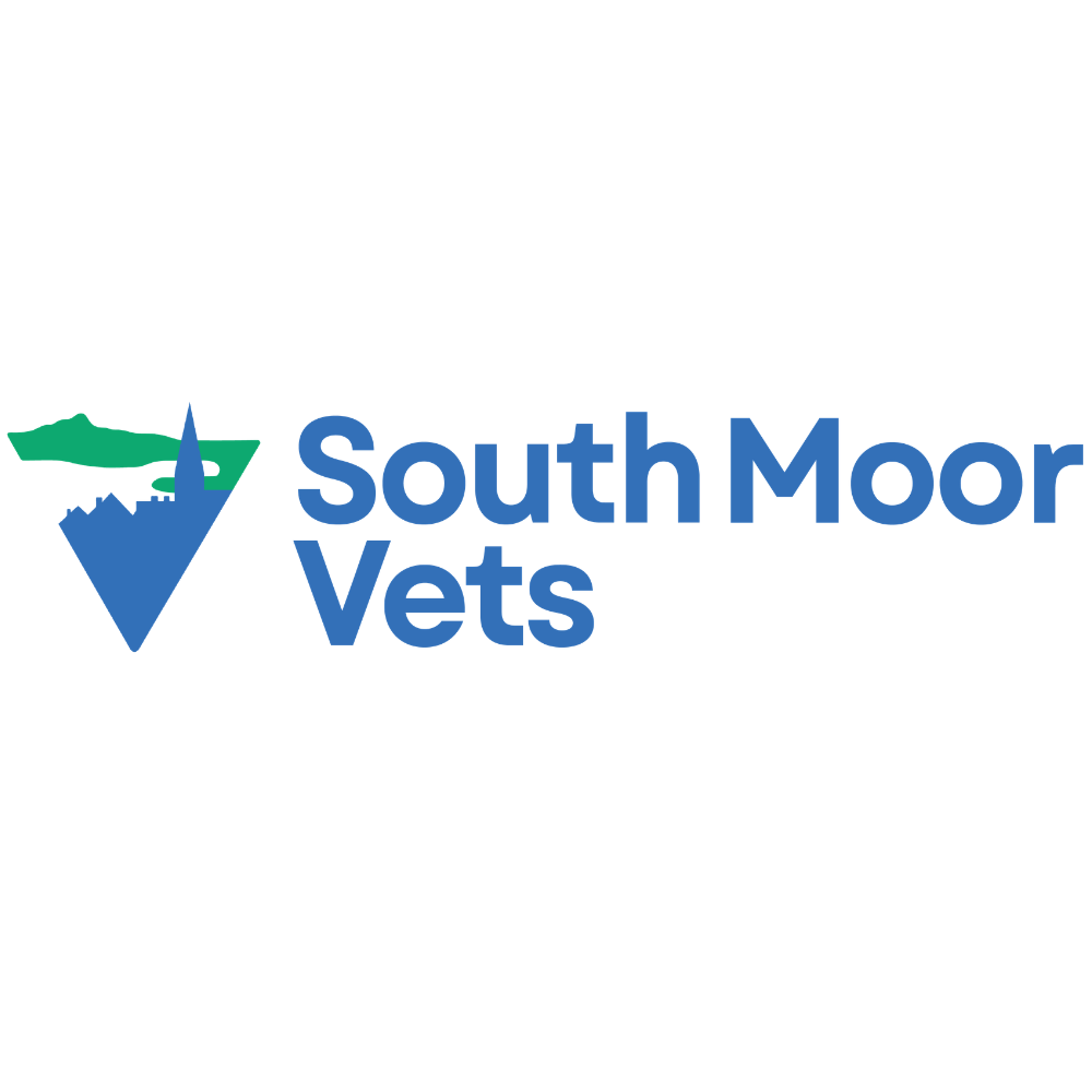 south moor vets