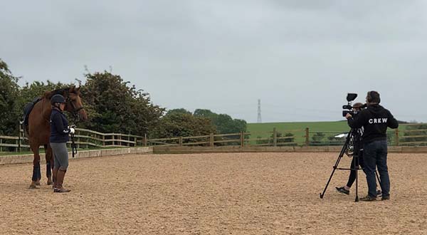 Heather and the horses