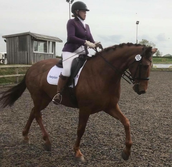 Petplan Equine Ambassador Heather Finlay