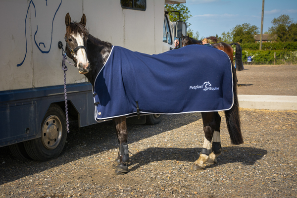 Jess at a competition modelling her petplan equine rug
