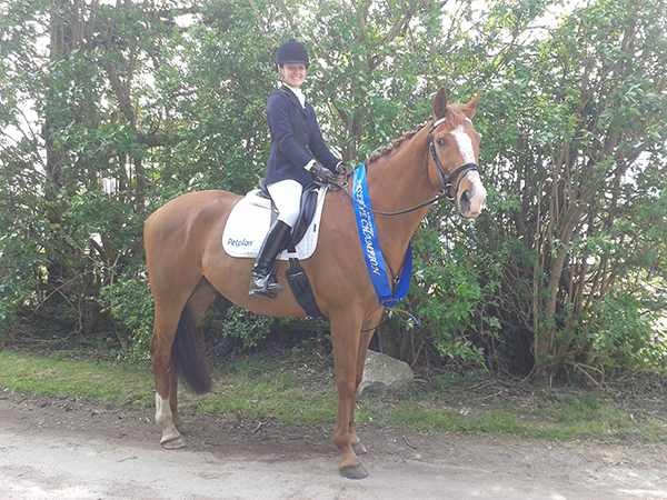 Lordie achieved second place for his dressage test