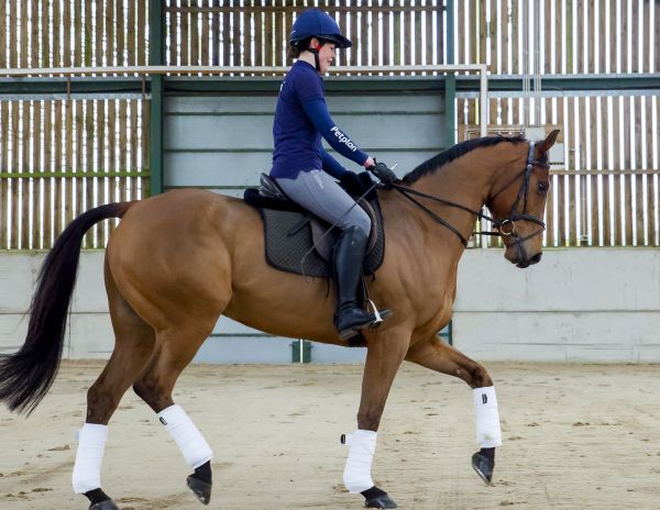 Charlotte will miss riding Oggie while he is having a well deserved rest 