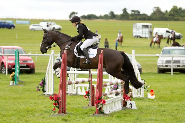 Boodles flying over one of the show jumps