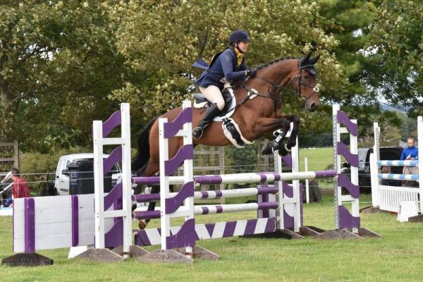Finley completing the show jumping at Firle International