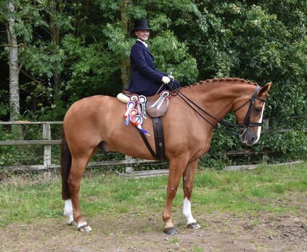 Rachael and Marcus with their rosettes from the National Side Saddle Championships