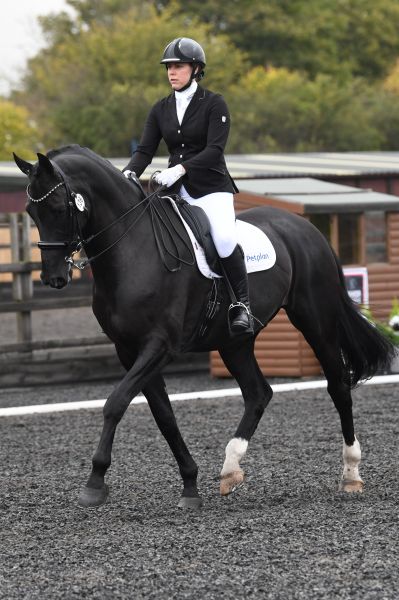 Amy and Tico riding their dressage test at the Petplan Equine Area Festival Final at Manor Grange