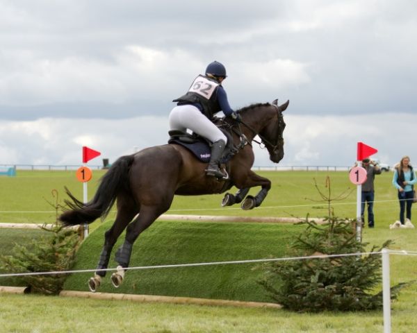Boodles on the cross country course