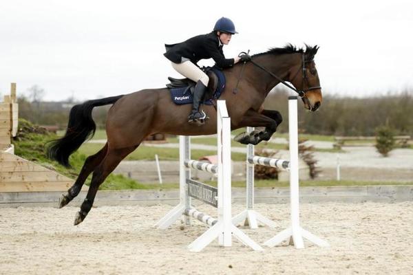 Charlotte and the horses