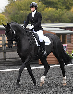 Petplan Equine Ambassador Amy Tilston