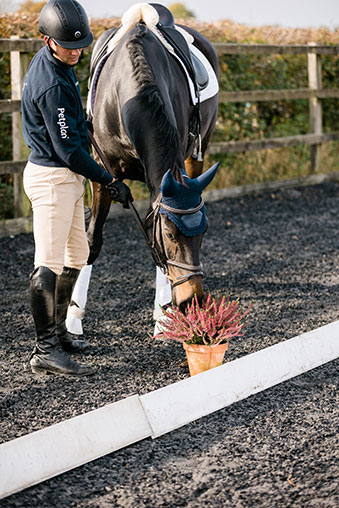 img - Jack showing Milla flowers