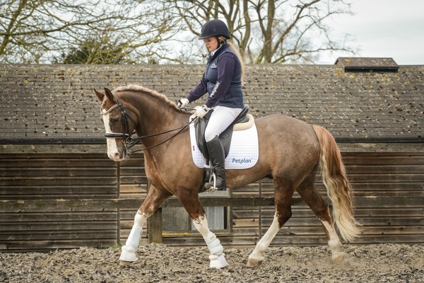 Petplan Equine Ambassador Lyndsey Ryder