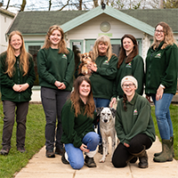 Margret Green Animal Rescue
                      