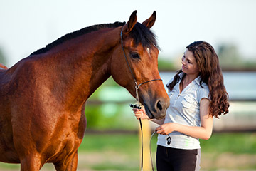 woman with a horse