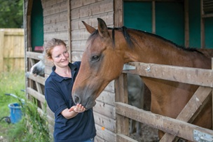 person taking care of a horse