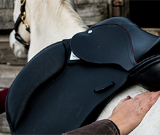 Does your horse’s saddle fit?