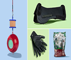 Christmas gifts your horse will thank you for