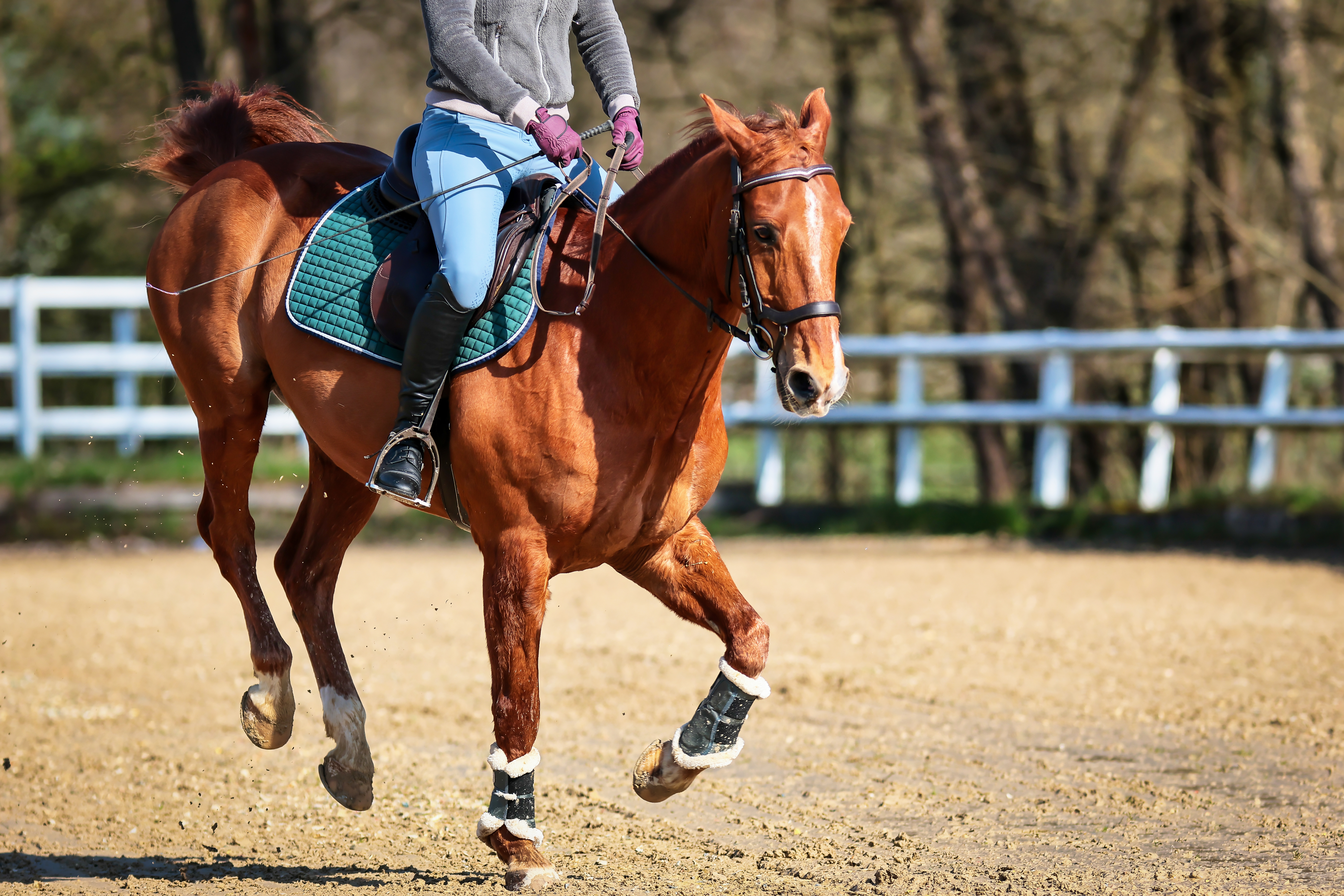 How to spot summer pasture allergy