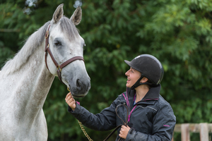 Four ways to build your horse’s core