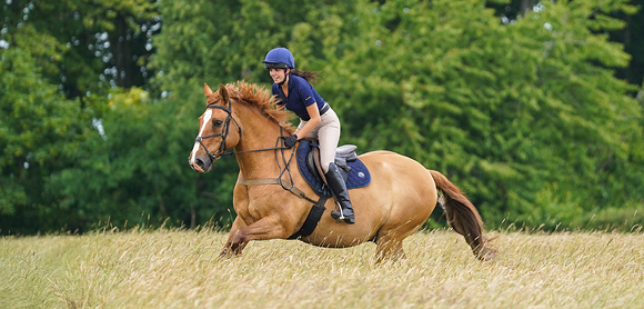 Person riding horse