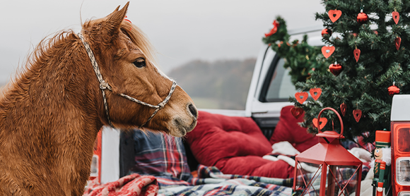 10 Christmas gifts for horse riders