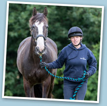 spotting lameness