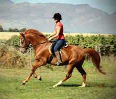 regain your riding confidence