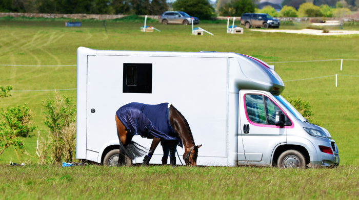 Horse with travel box