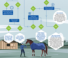 When to rug your horse