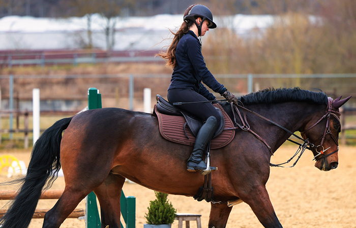 Bringing your horse back to work