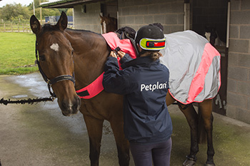 Equisafety Mercury Hi-Vis Waterproof Reflective Horse Rug