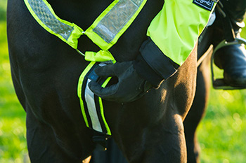 Harry Hall Hi-Viz Martingale