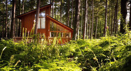 Win a £500 Forest Holidays voucher