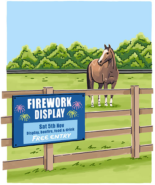 How to keep your horse safe during fireworks Petplan Equine