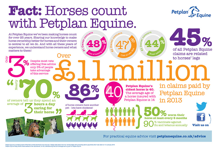 horse facts infographic