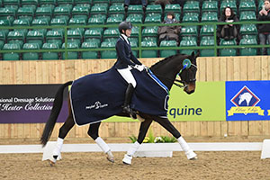 Christine Cockerton Riding Evaldo, winners of the Petplan Equine Elementary Open Championship