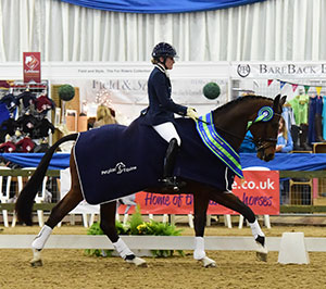 Deborah Doyle riding Dandy III, winners of the Petplan Equine Elementary Restricted Championship