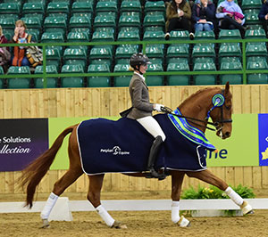 Emma Leech riding Warrior II, winners of the Petplan Equine Medium Open Championship