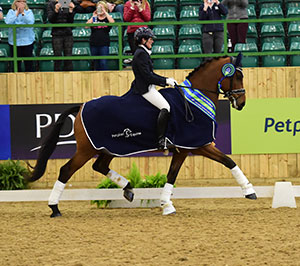 Kate Rowland riding Erasmus to win the Petplan Equine Area Festival Champion 2015