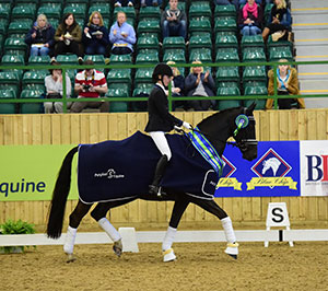 Rebekah White riding Lord Robin, winners of the Petplan Equine Area Festival Novice Restricted Championship