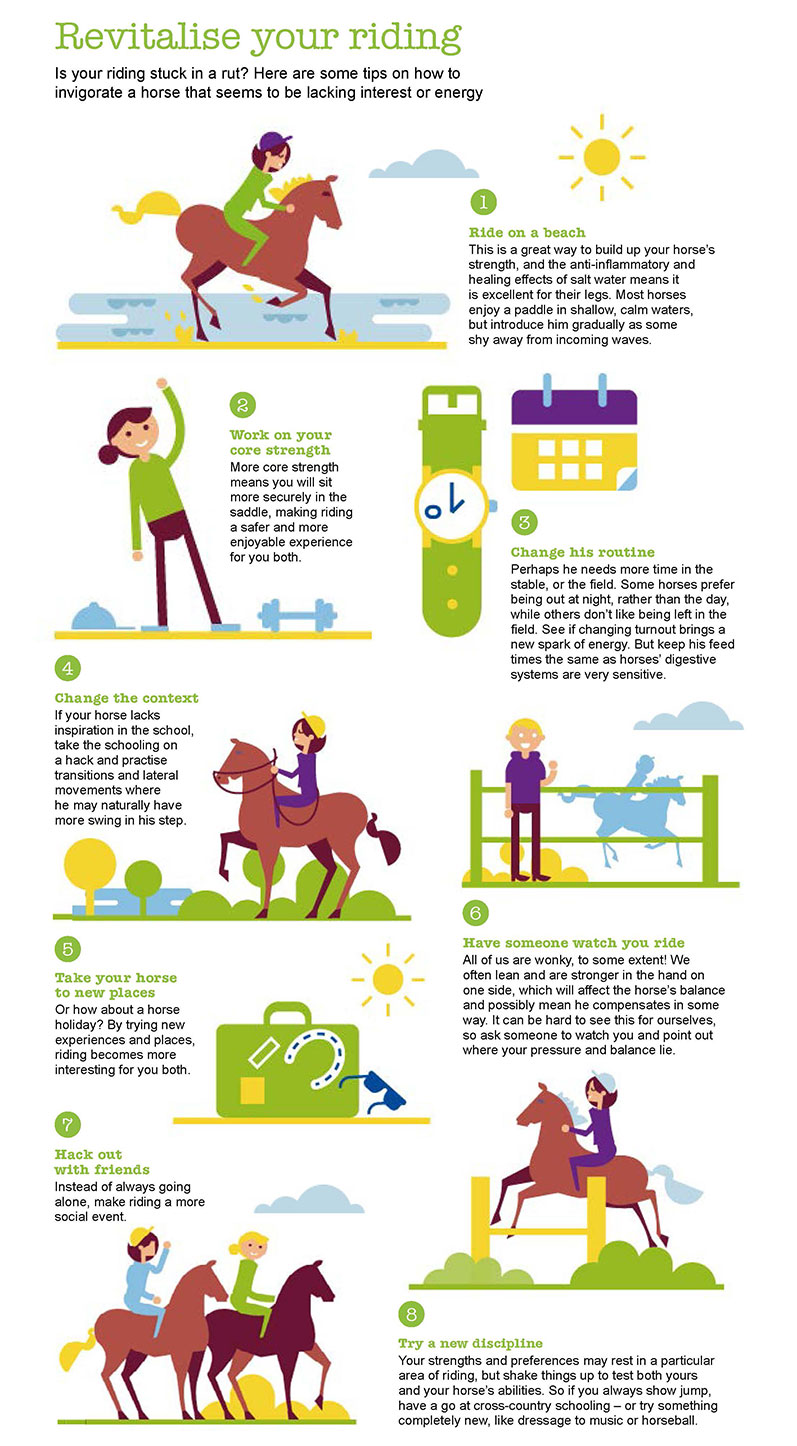 revitalise your riding infographic
