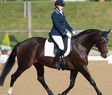 Preparing for a dressage competition