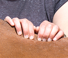 How to massage your horse