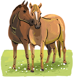 what personality type is your horse?