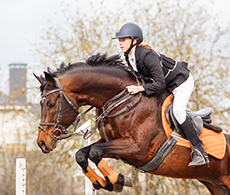 Competing in winter