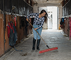 Unexpected equestrian items: 15 unusual must-haves for
                    every stable yard